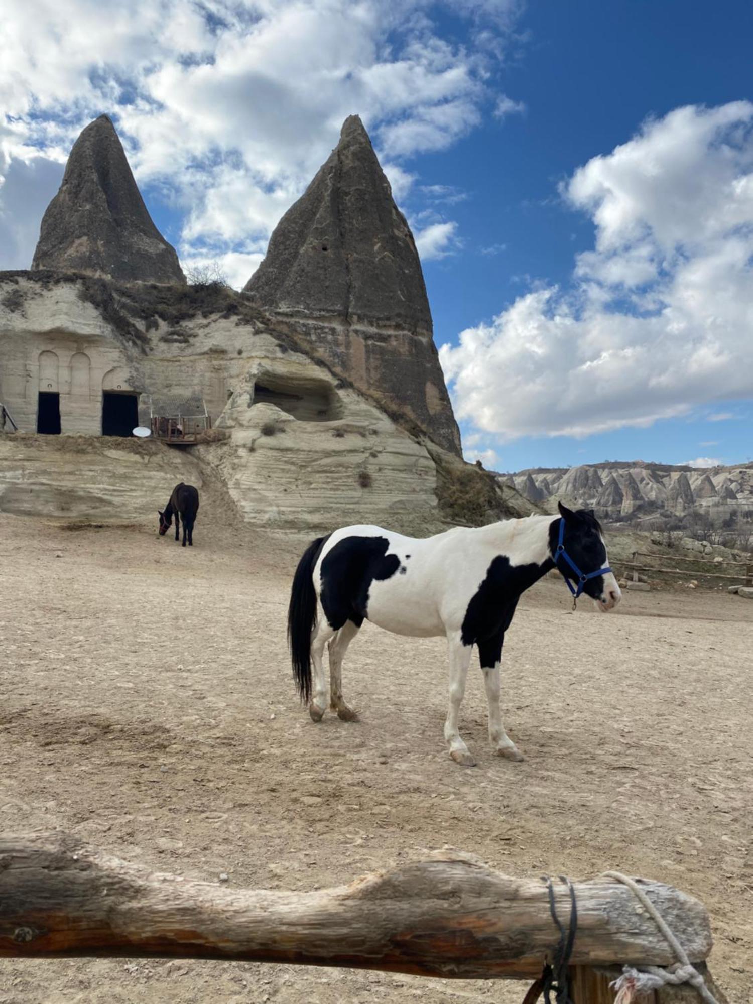 Hotel Sinasos Evleri Nevşehir Exterior foto